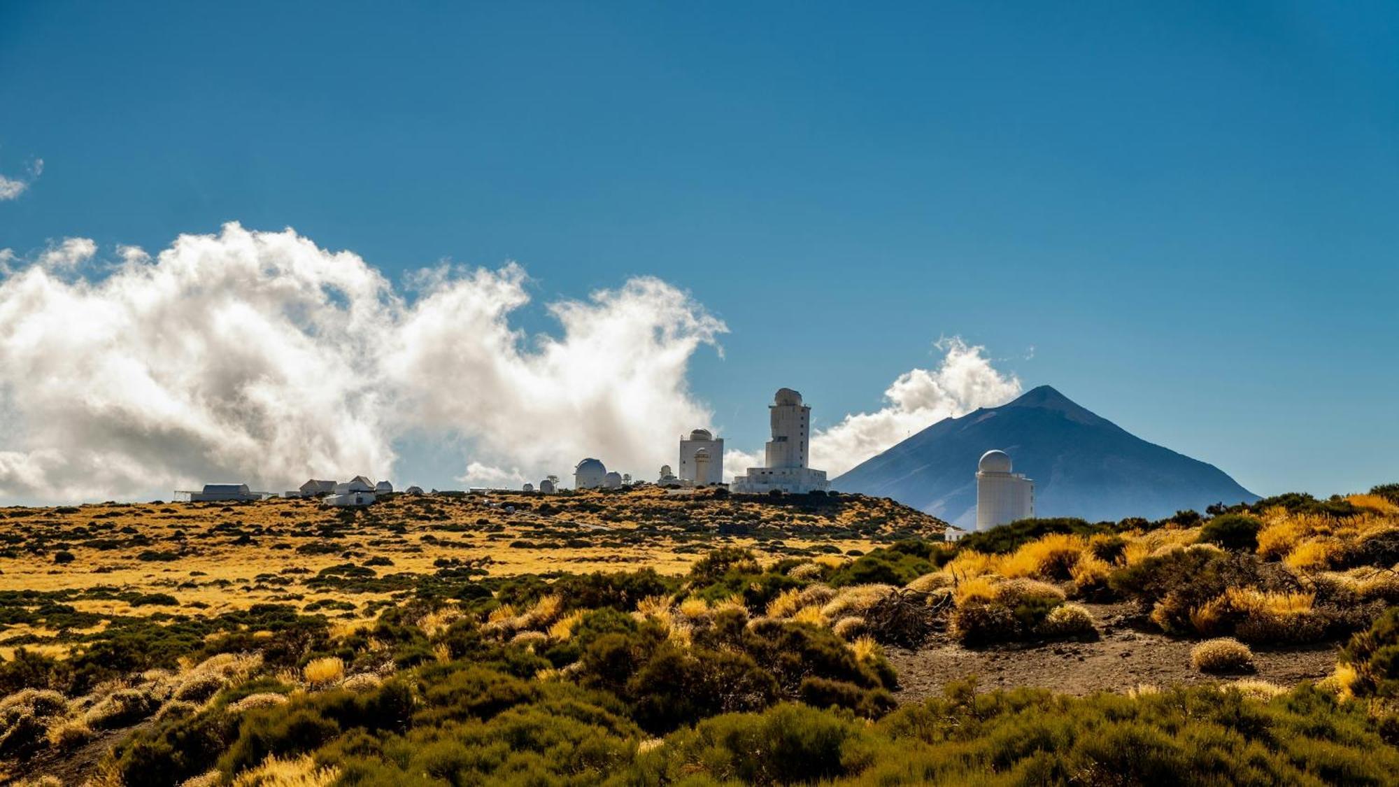 Eden Malvasia Hideaway * El Medano (Tenerife)